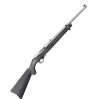 Ruger 10/22 Stainless Carbine
