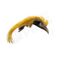 Veniard Golden Pheasant Crest
