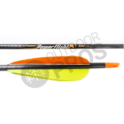 Easton Power Flight Arrows with Feathers