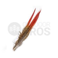 Veniard Golden Pheasant Red Spears