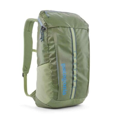 Patagonia Black Hole 25L Pack Friend Green Side