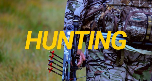 hunting yellow