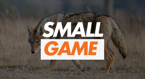 small game