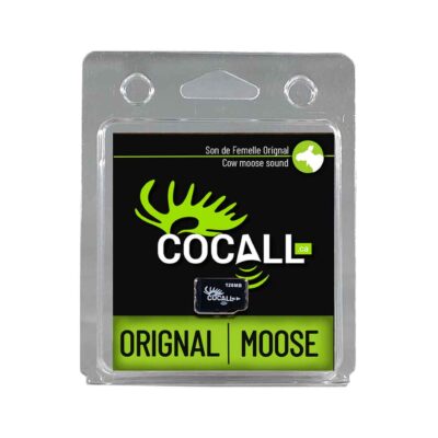 Cocall Cow Moose Card